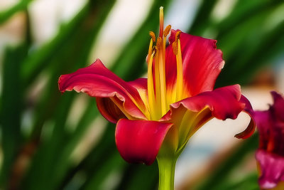 g10/16/721416/3/166054010.9Ui7x82B.jpg