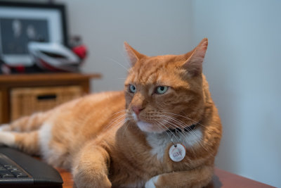 Nikon D500 DSLR