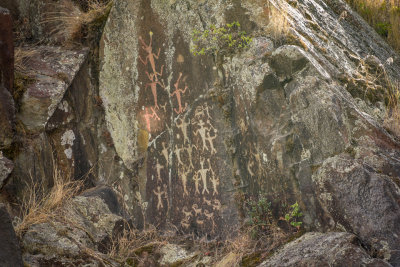5,000 year old Petroglyphs
