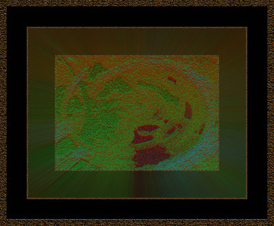 917.jpg