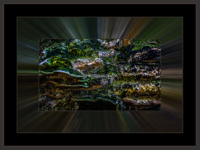 345_=_529A6475.jpg