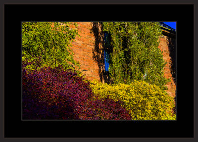 10_=_Høst_i_Botanisk_hage_2018_=_529A6484.jpg