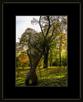 27_=_Høst_i_Botanisk_hage_2018_=_529A6540.jpg