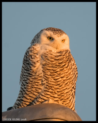 DSC_7574800.jpg