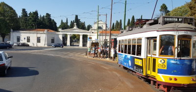 20171008_110134s.jpg