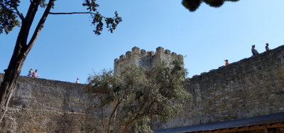 20171008_132900s.jpg