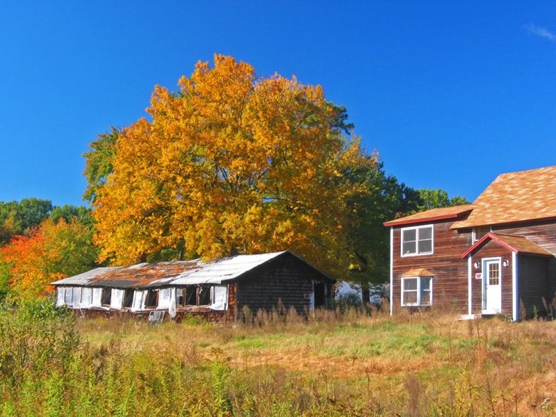 Bloomfield, CT 07