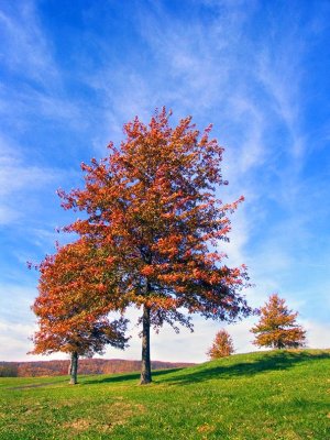 Avon, CT 01