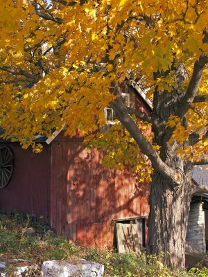 Simsbury, CT 04