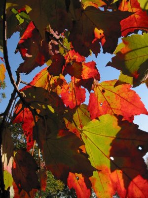 Vermont 05