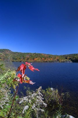 Riverton, CT 02