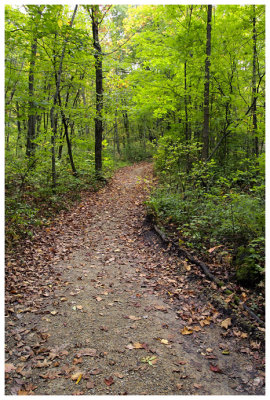 Nerstrand-Big Woods State Park