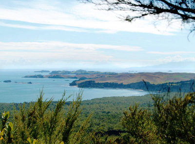 View east over Motutapu Island - 1