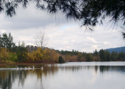 Nepean at Shaw's Island