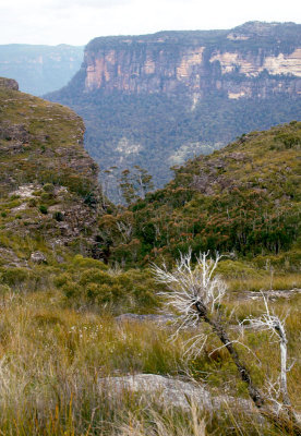 Looking east down the Grose Valley