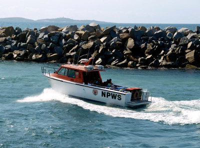 Boat going to Montagu Island without us