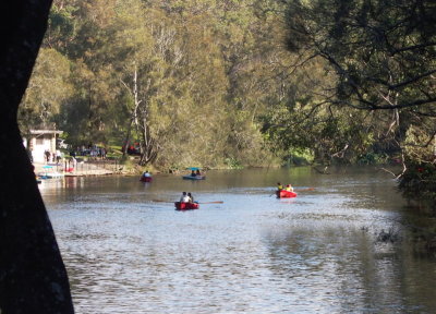 Lane Cove River