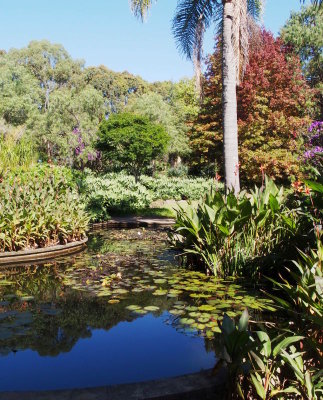 Ornamental pond