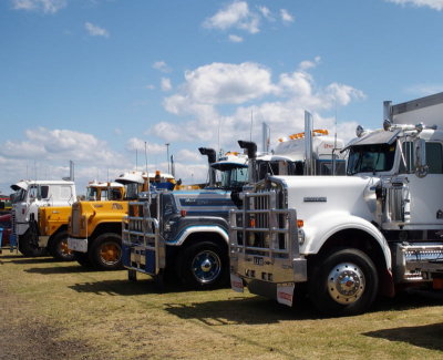 z9163931.JPG