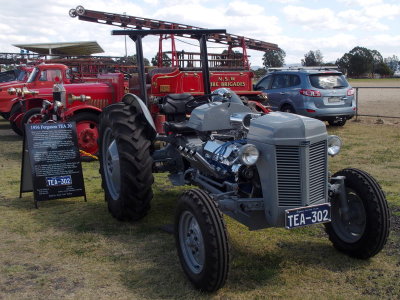 z9163939.JPG