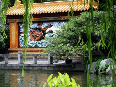 Chinese Garden Revisited