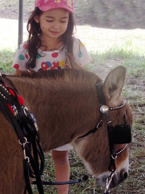 Girl fascinated by donkey
