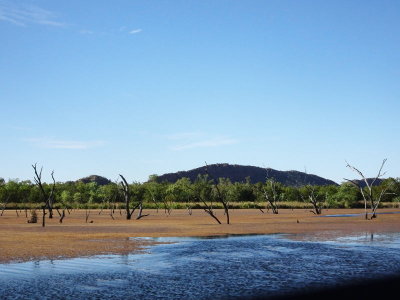 0618: Backwater on Lake Kununurra