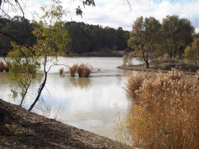 Narrandera wetlands