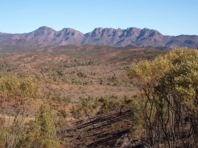 Parched landscape