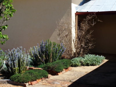 A pleasant sunny corner at Cooma Cottage