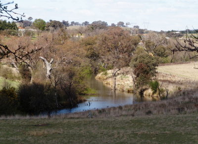 View over Yass River from Cooma Cottage