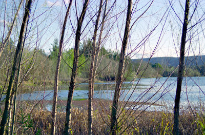 Nepean River at Agnes Banks