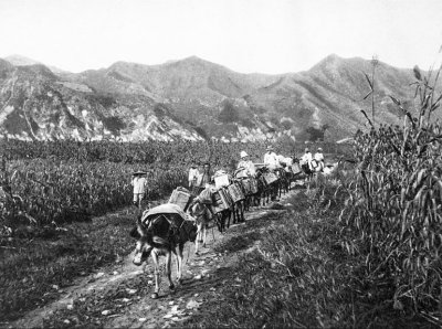 g10/17/342117/3/43157670.BawacvGL.jpg