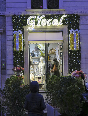 IMG_6681 Early Christmas lights.jpg