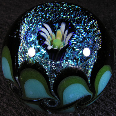 #23: Dichgrow 1 Size: 1.69 Price: $80