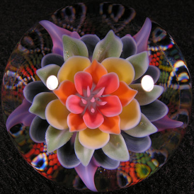 #33: Josh Sable x John Kobuki x Takao Miyake  Size: 1.73