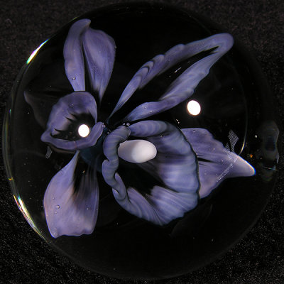 Fifty Shades of Orchid Size: 1.41 Price: SOLD 