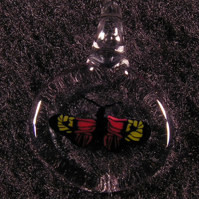 Butterfly  Size: 0.63  Price: SOLD