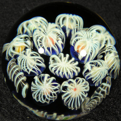 Ghost Coral  Size: 1.48  Price: SOLD 
