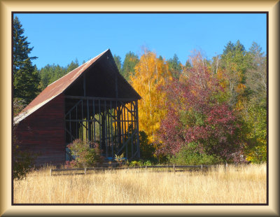 Barn and Fall Trees, Colville, WA