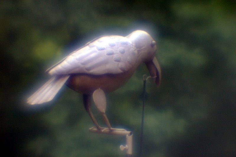 5223b.JPG