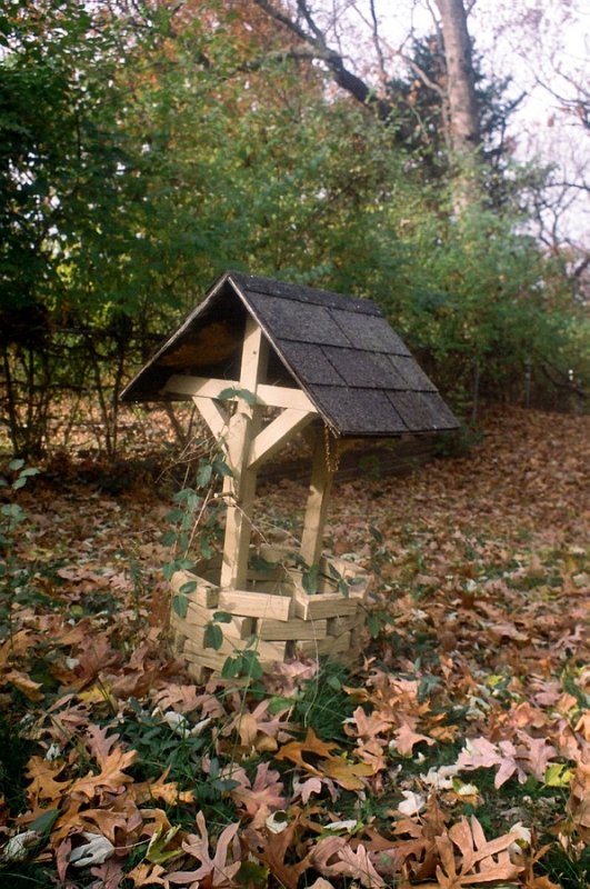 pellix002.JPG