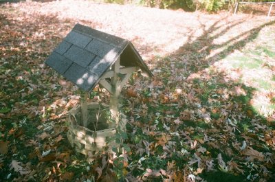 pellix025.JPG