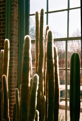 05.JPG