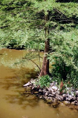 04.JPG