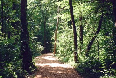 09.JPG