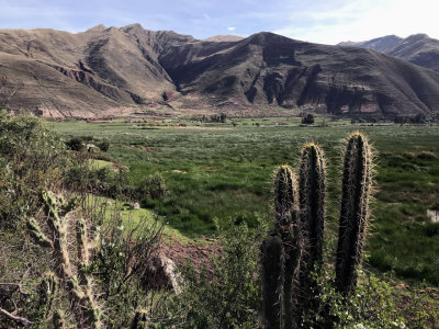 Cactus et Lagune dans les Andes