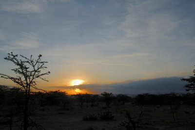 Au pays des Maasa Mara