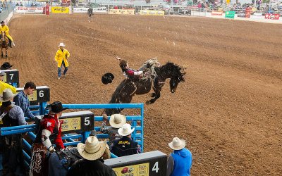 A Bareback Rider comes out of the chute during a rainstorm