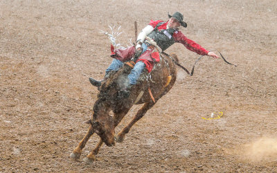 Bronc Rider holds on as the rain comes down
